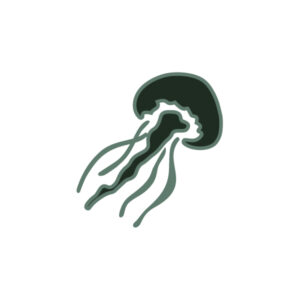 La Medusa Bondadosa