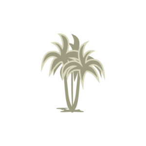 Palmeras trillizas